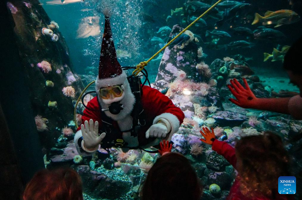 Diver dressed as Santa Claus performs at Vancouver Aquarium in Canada