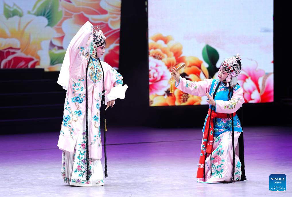 Cultural event for the disabled held in NW China's Yinchuan