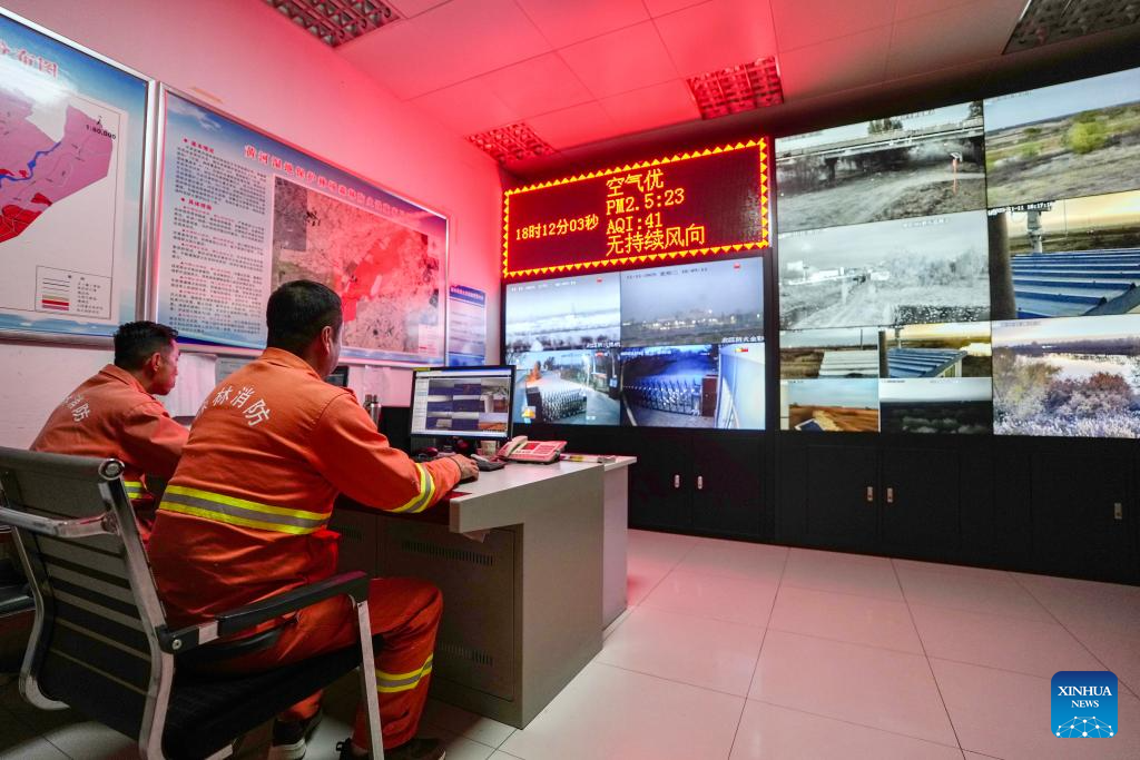 Wetland park turns into paradise for migratory birds in NW China's Ningxia