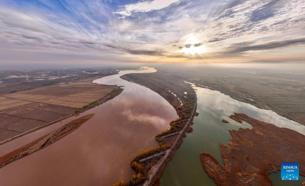 Wetland park turns into paradise for migratory birds in NW China's Ningxia