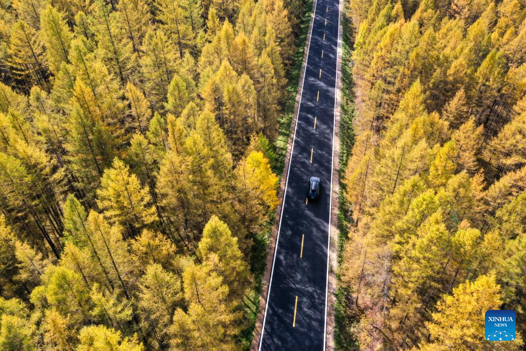 China's G331 national highway brings vitality to local area