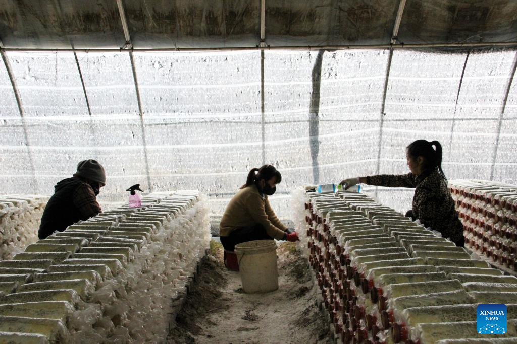 China's G331 national highway brings vitality to local area