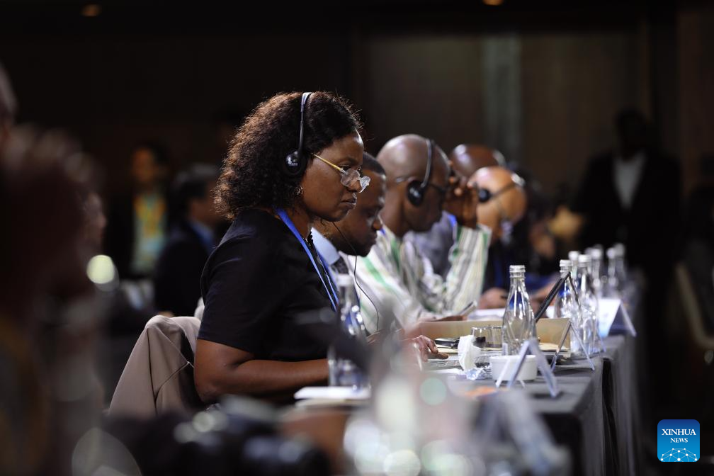 China-Africa Partnership Conference highlights cooperation toward shared global governance