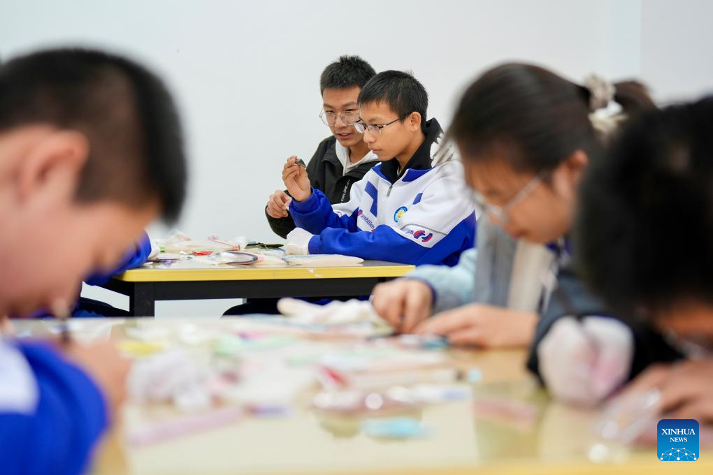 Students engage in cultural heritage education at Xixia Imperial Tombs archaeological site park