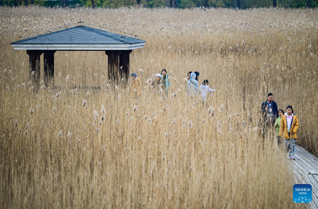 People enjoy winter scenery of Beijing