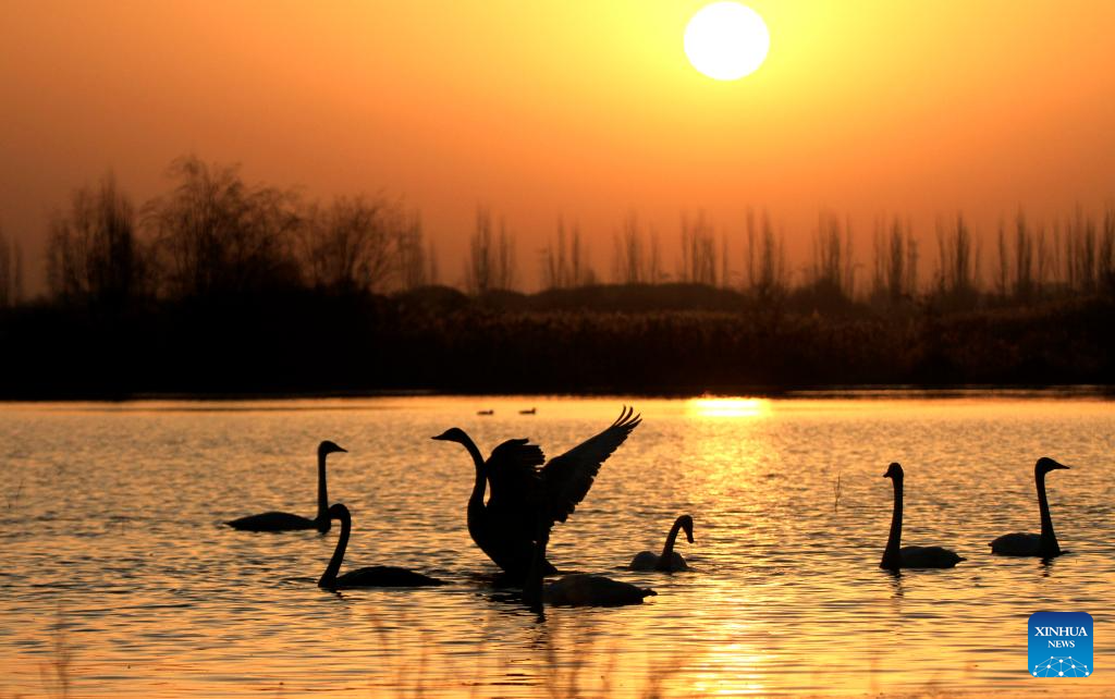 Early winter scenery across China