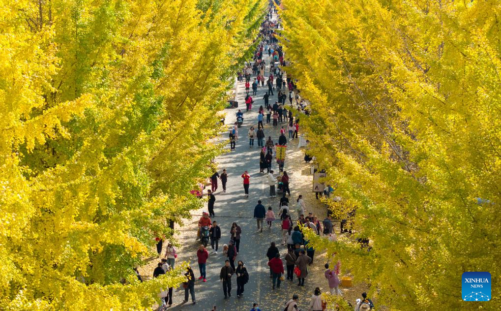 Early winter scenery across China