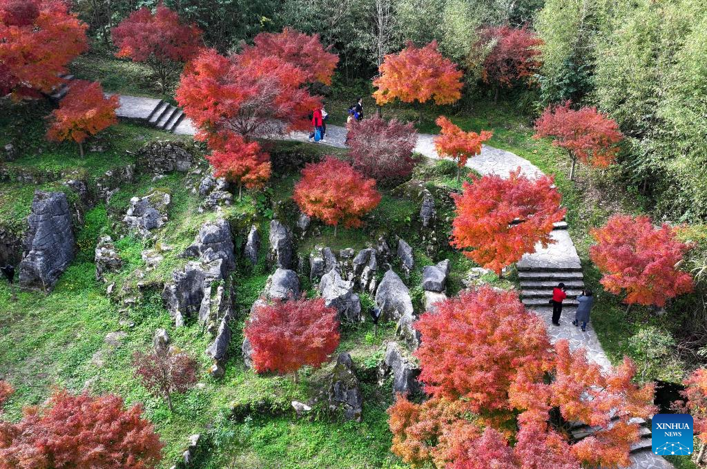 Early winter scenery across China