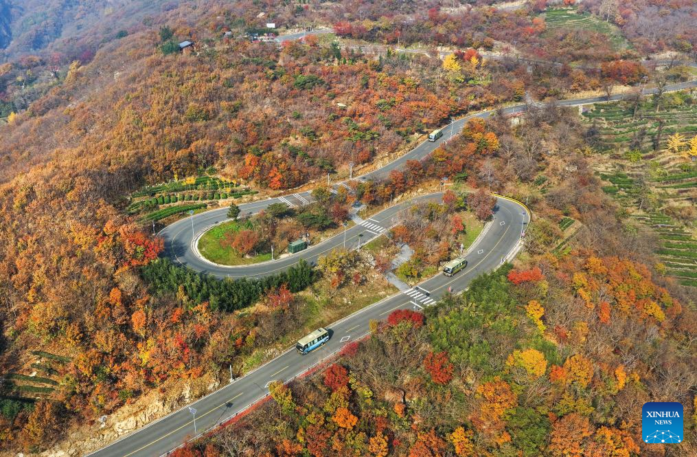 Early winter scenery across China