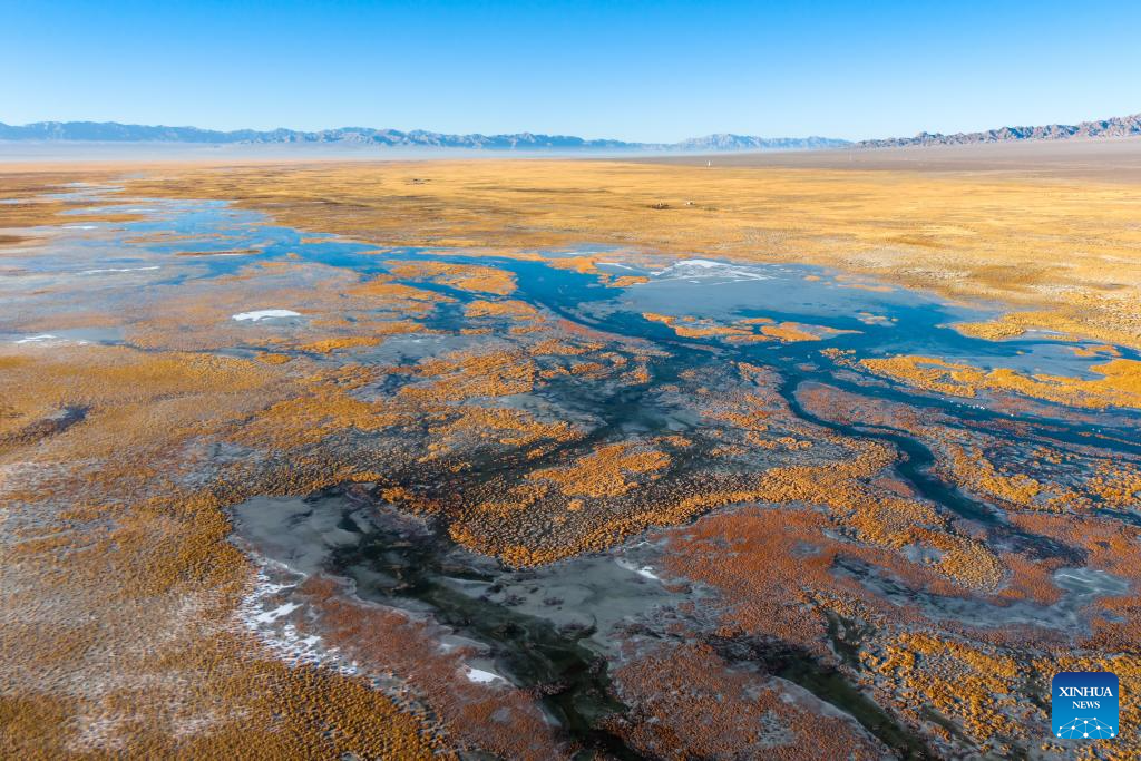 Lakes nurture ecological wetland in Gobi Desert, NW China's Gansu