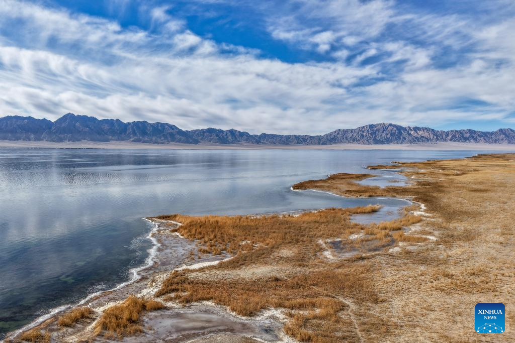 Lakes nurture ecological wetland in Gobi Desert, NW China's Gansu