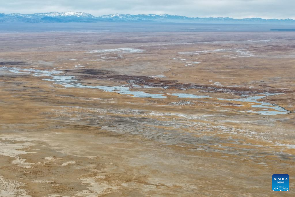 Lakes nurture ecological wetland in Gobi Desert, NW China's Gansu