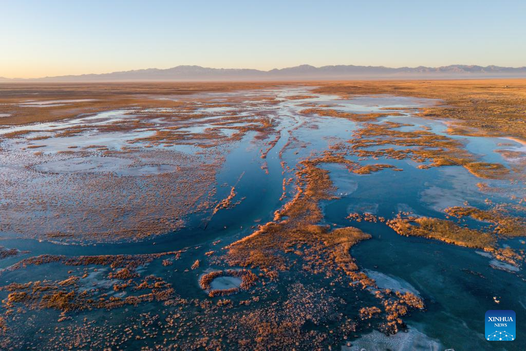 Lakes nurture ecological wetland in Gobi Desert, NW China's Gansu