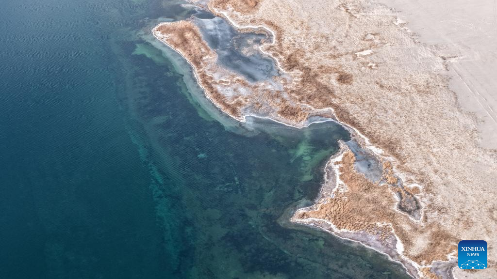Lakes nurture ecological wetland in Gobi Desert, NW China's Gansu