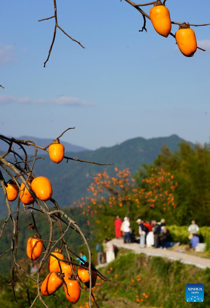 People enjoy scenery of early winter across China