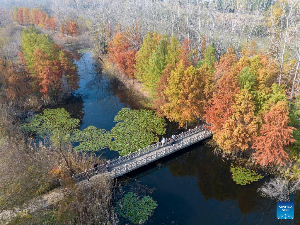 People enjoy scenery of early winter across China