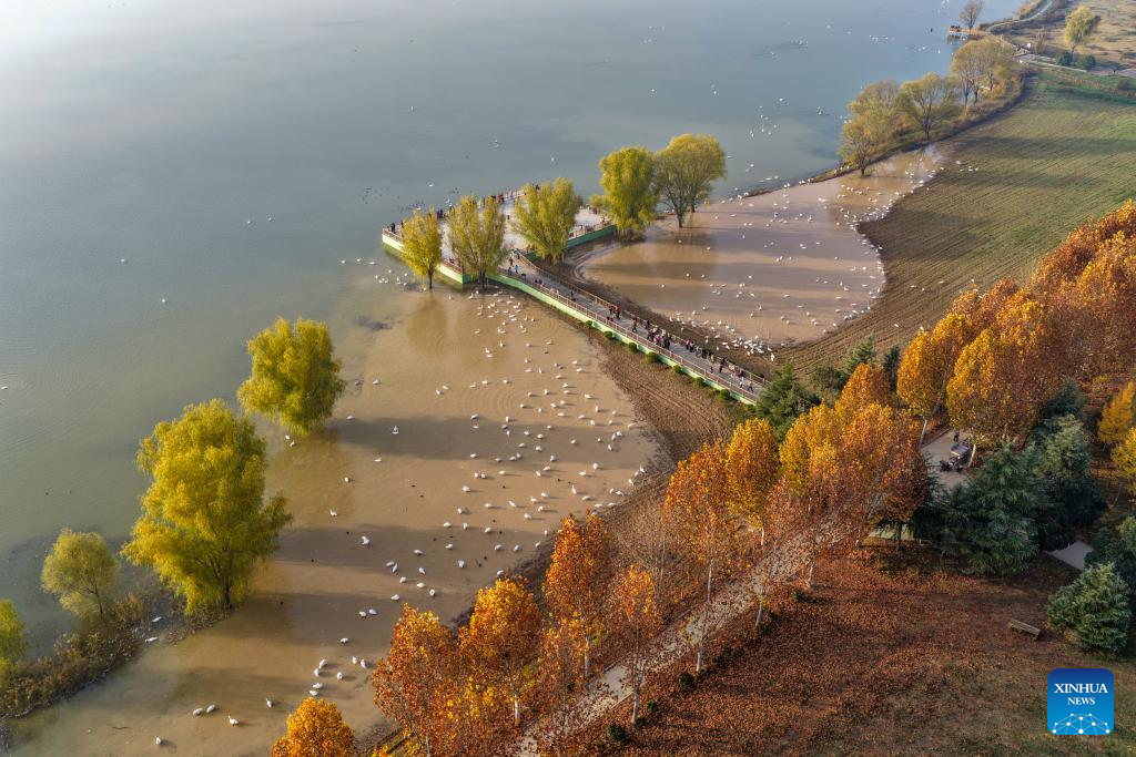 People enjoy scenery of early winter across China