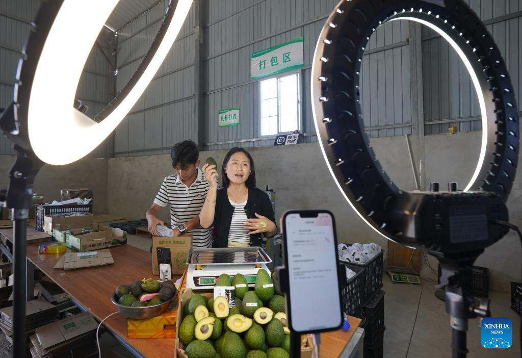 Avocado farming thrives in Menglian County, SW China
