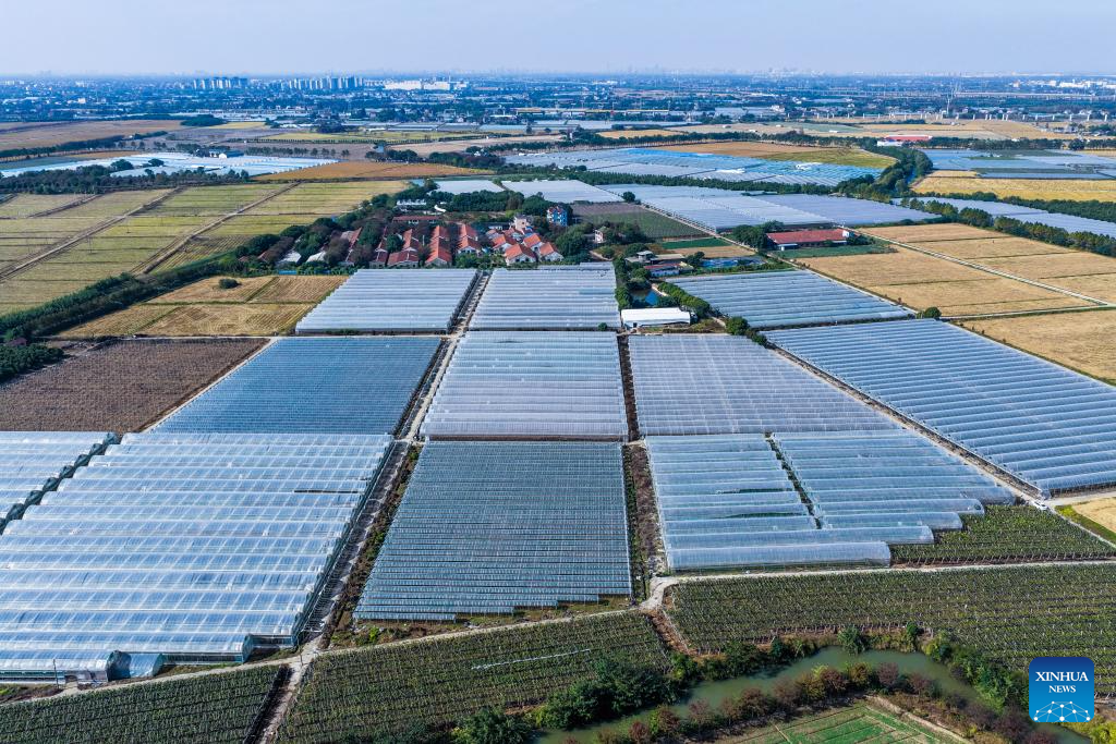 China's Jiaxing consistently implements program to promote rural revitalization