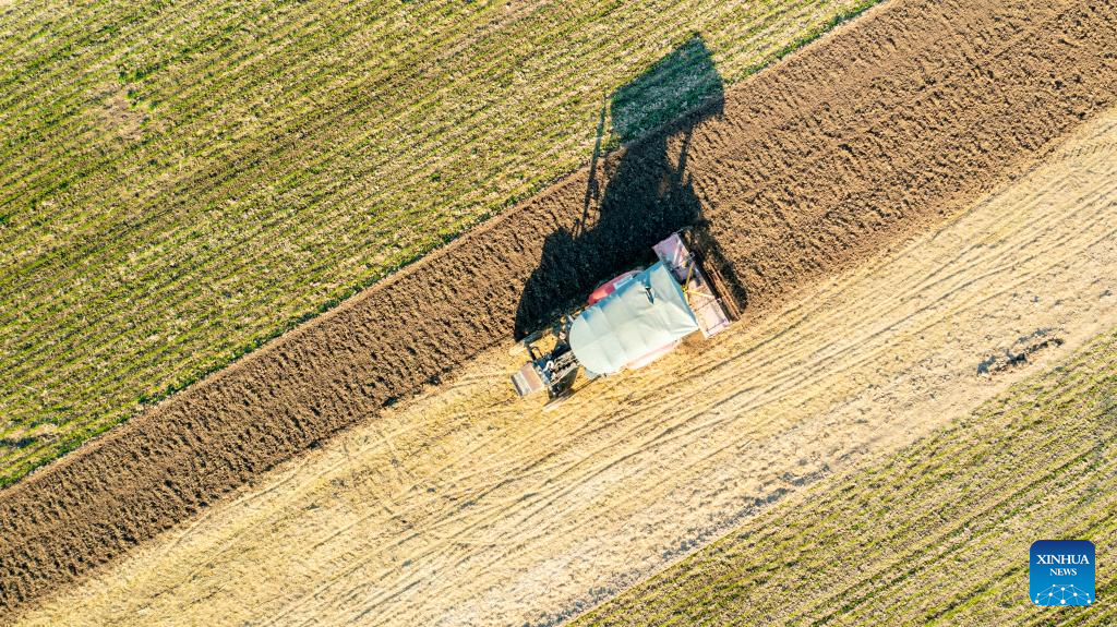 In pics: farming activities in early winter across China