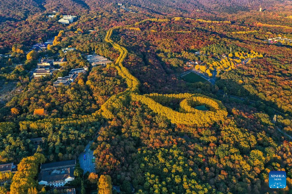 Early winter scenery across China