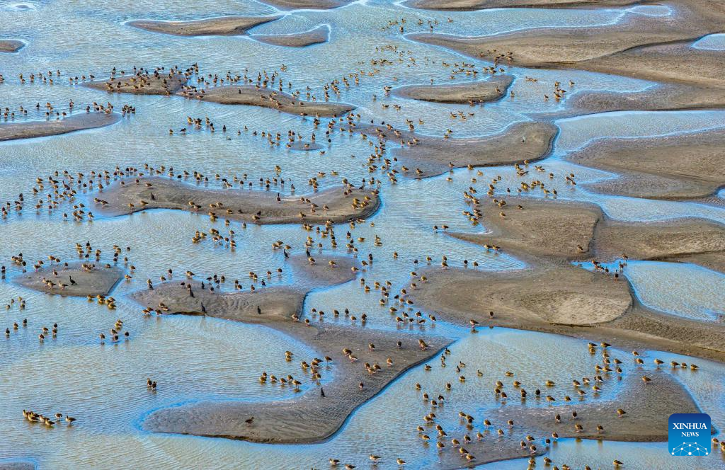 Early winter scenery across China