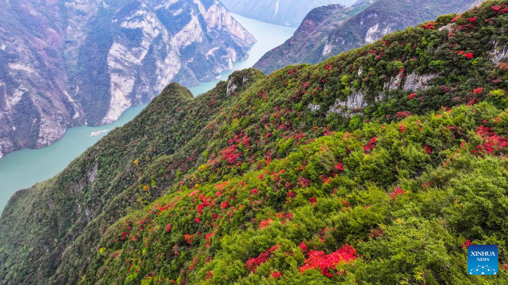 Autumn scenery of scenic spot near Wuxia Gorge in China's Chongqing