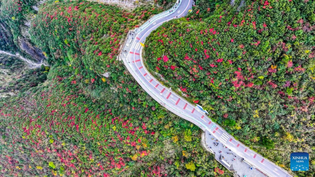 Autumn scenery of scenic spot near Wuxia Gorge in China's Chongqing