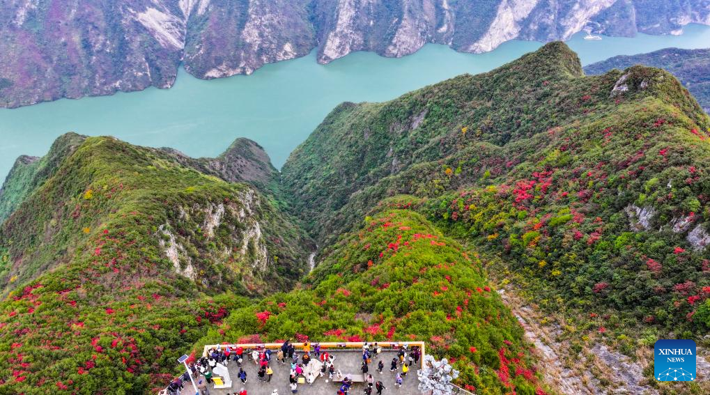 Autumn scenery of scenic spot near Wuxia Gorge in China's Chongqing