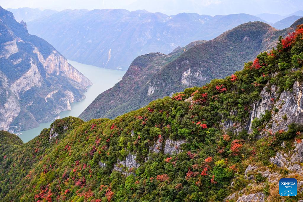 Autumn scenery of scenic spot near Wuxia Gorge in China's Chongqing