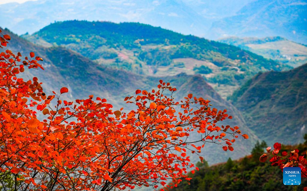 Scenery of scenic spot near Wuxia Gorge in Wushan, China's Chongqing