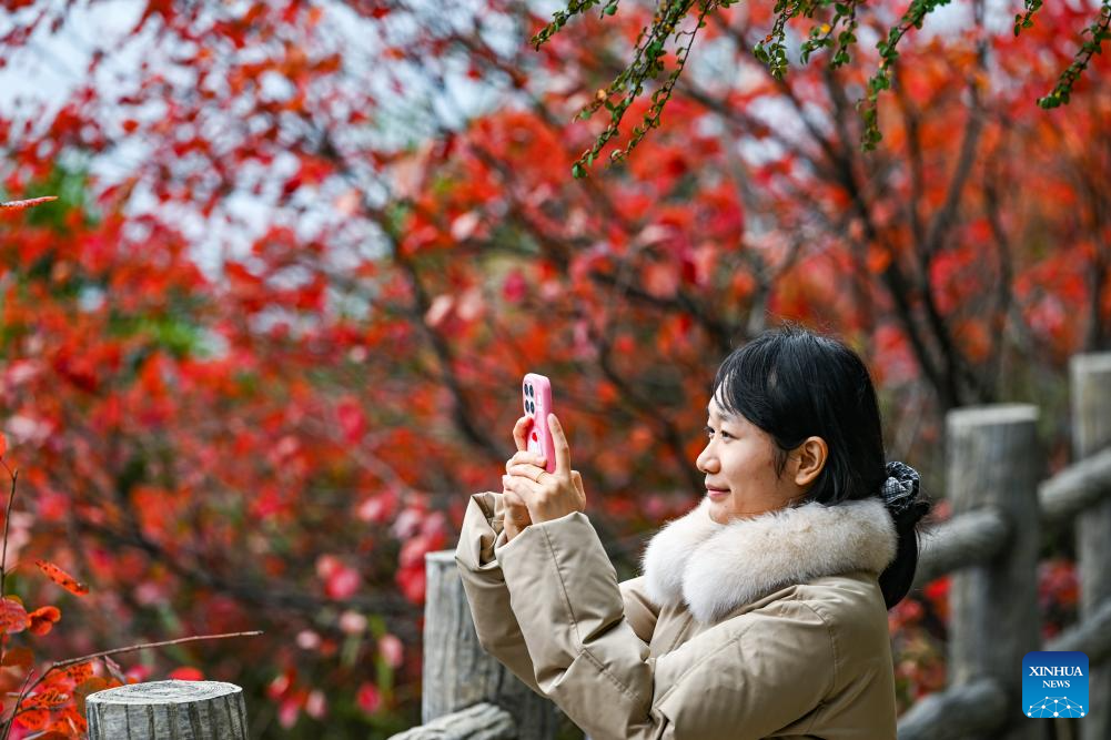 Scenery of scenic spot near Wuxia Gorge in Wushan, China's Chongqing