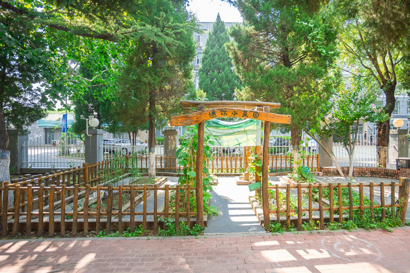 Beijing Women and Children Development Demonstration Base: Shell Educare Kindergarten Beijing Women and Children Development Demonstration Base: Shell Educare Kindergarten