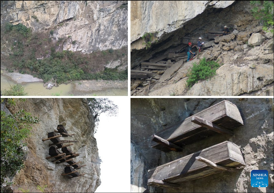 Genomic study links China's ancient hanging coffins to modern community