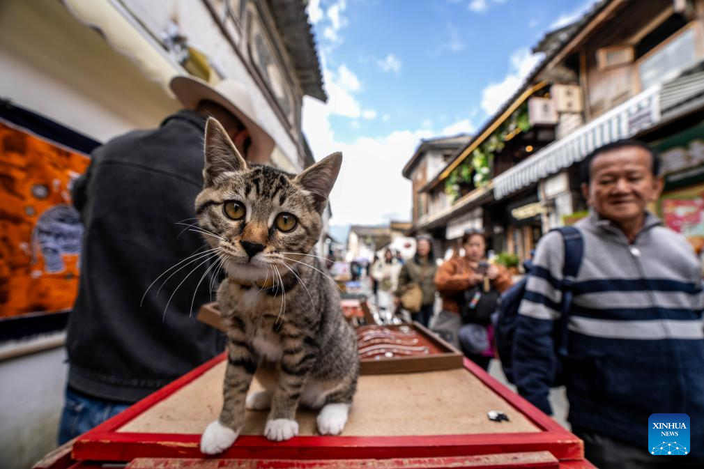 Tourists visit Xizhou old town in Dali City, China's Yunnan