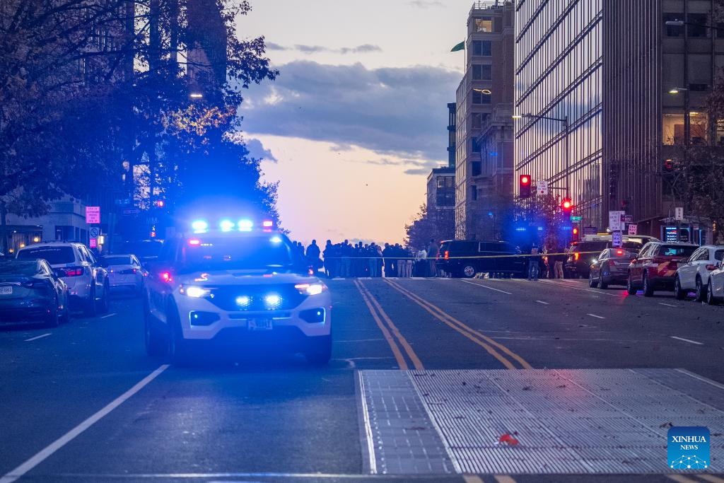 2 U.S. National Guard members shot near White House, suspect in custody
