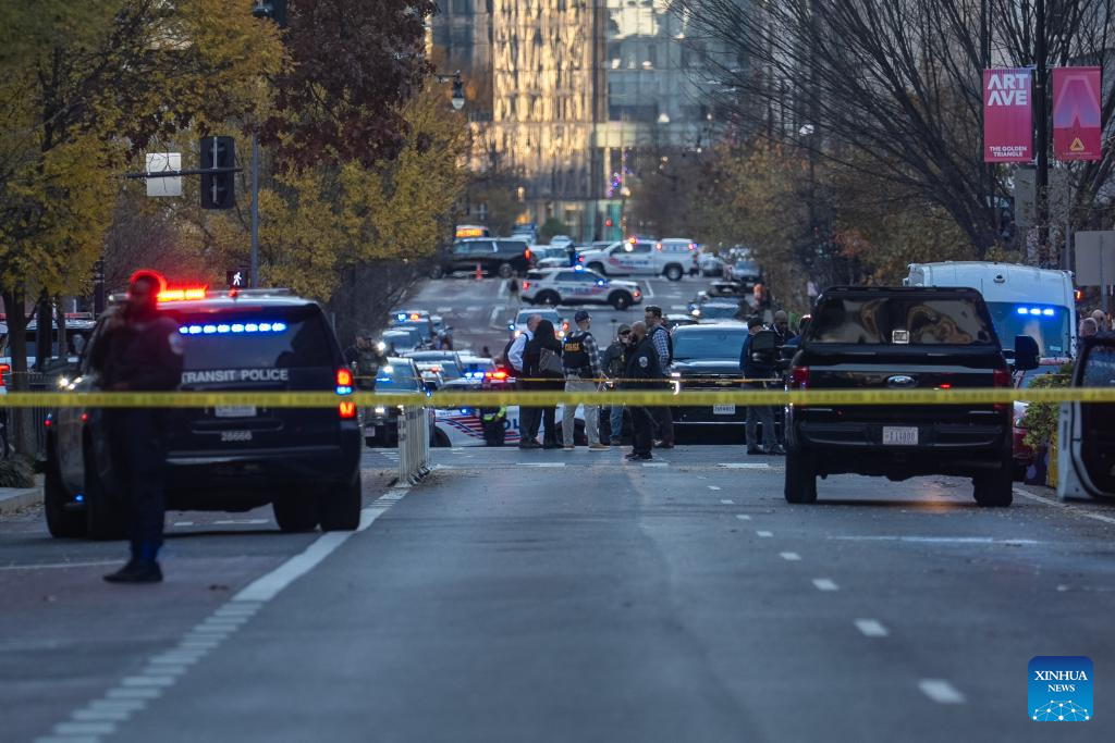 2 U.S. National Guard members shot near White House, suspect in custody