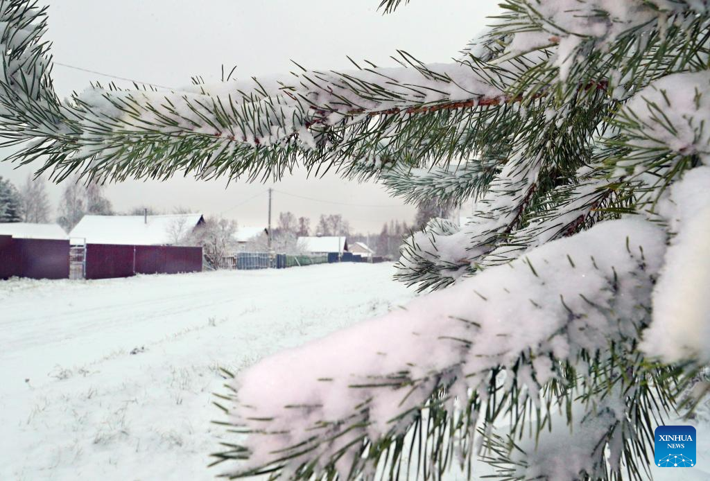 Belarus sees first snowfall in winter