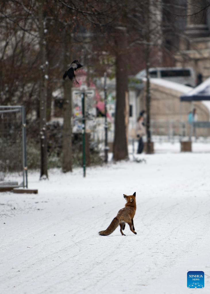 Snow view in Berlin, Germany
