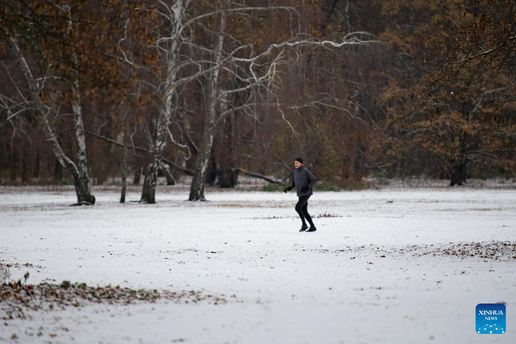 Snow view in Berlin, Germany