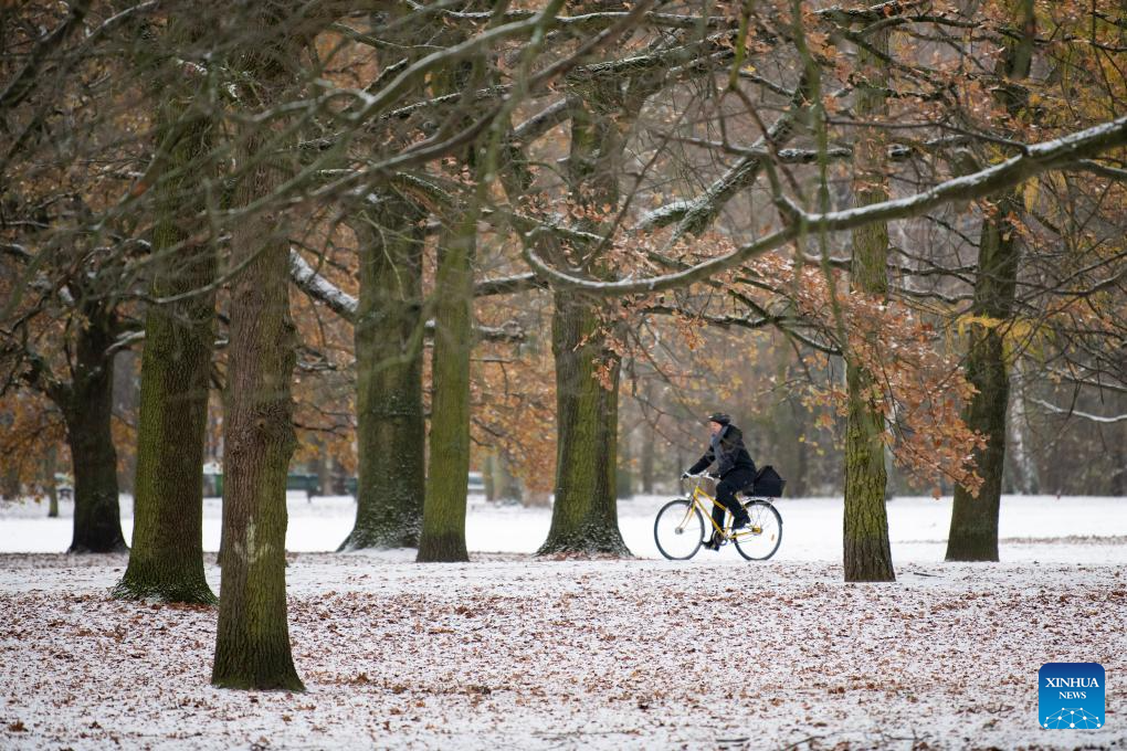 Snow view in Berlin, Germany