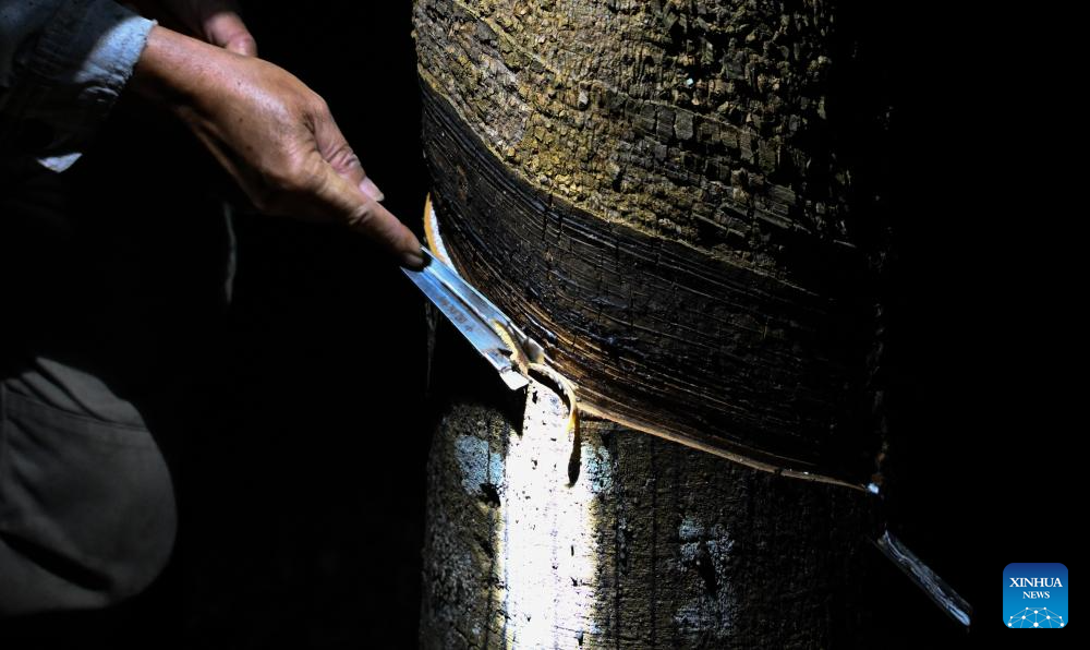 Baisha Li Autonomous County in China's Hainan boosts economy with industrial crops