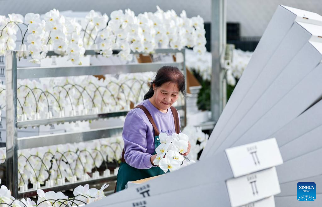 Floriculture industry thrives in Xingqing District, China's Ningxia