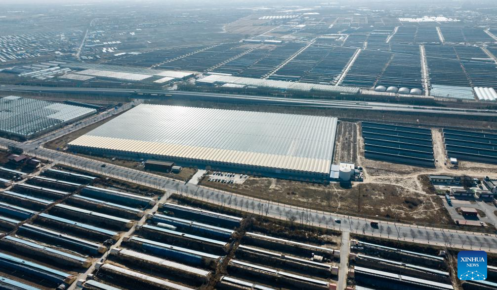 Floriculture industry thrives in Xingqing District, China's Ningxia