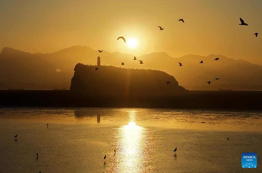 Migrant birds seen at Poyang Lake in Hukou County, China's Jiangxi