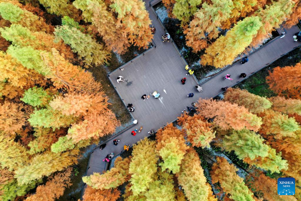 Winter scenery across China