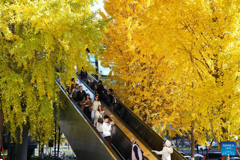 Winter scenery across China