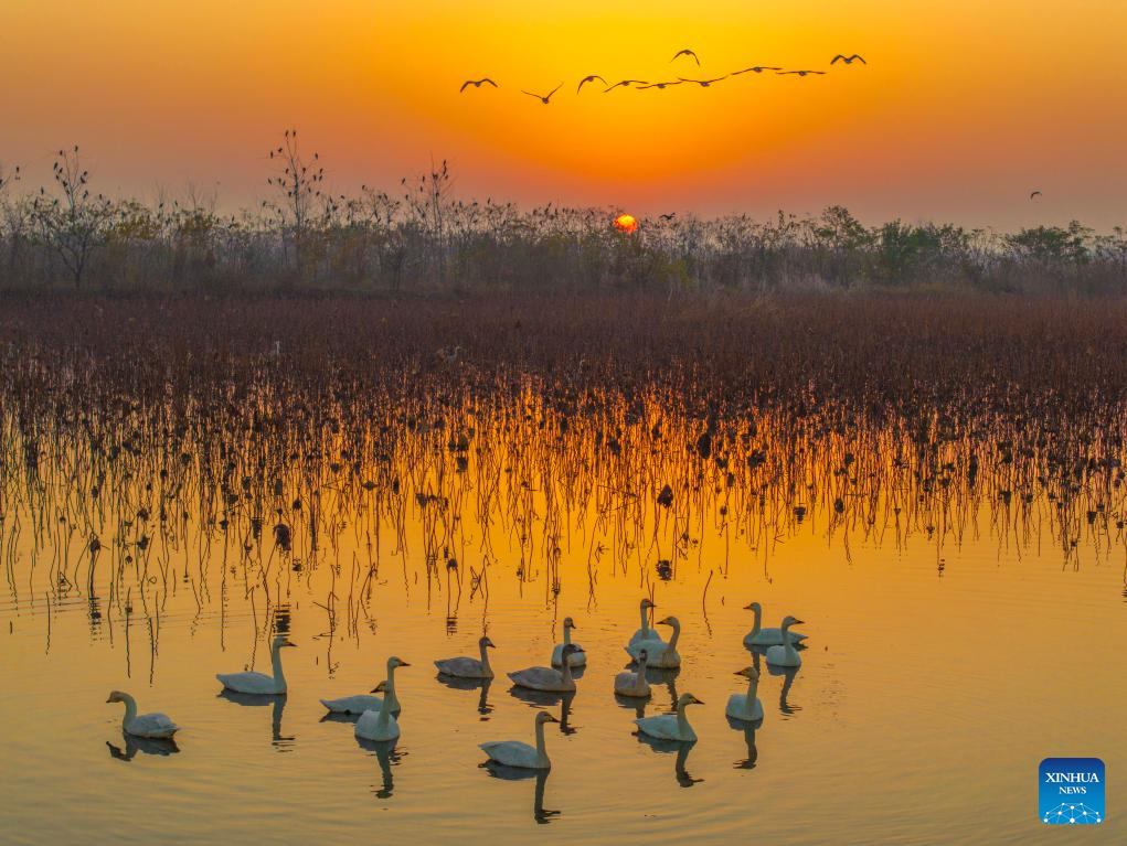 Winter scenery across China