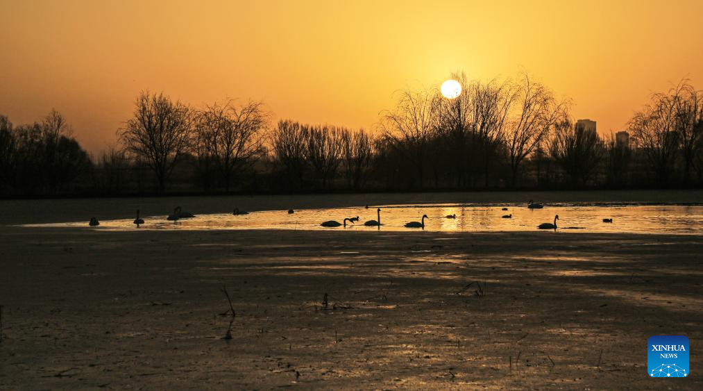 Winter scenery across China