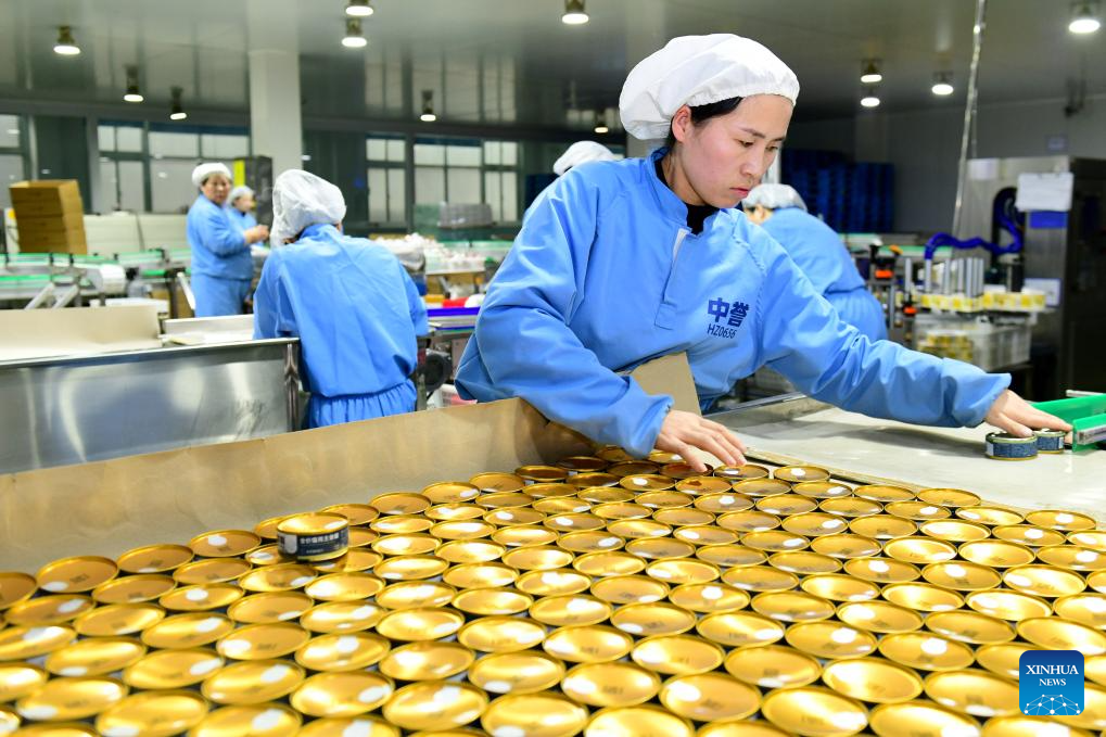 Caoxian County witnesses fast-developing pet economy in E China's Shandong